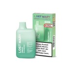 Blueberry Lost Mary BM600